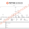 IGFREC6271MS.png IGF-1 LR3 (Receptor Grade) 1mg